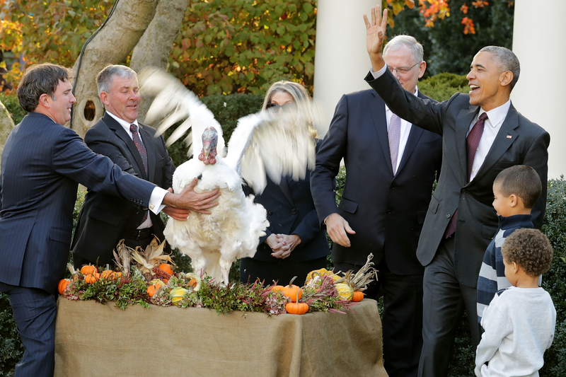 (Photo by Chip Somodevilla/Getty Images)
